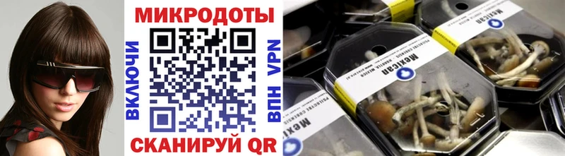 где найти   Красноармейск  Псилоцибиновые грибы прущие грибы 