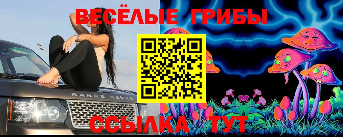 Галлюциногенные грибы прущие грибы Красноармейск