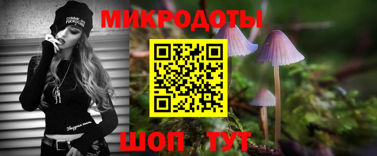 дарнет шоп  Красноармейск  Псилоцибиновые грибы Psilocybe 