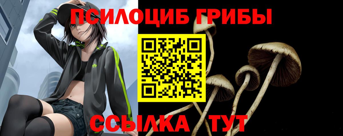 Красноармейск  Псилоцибиновые грибы Psilocybe  наркотики  Вход с VPN 